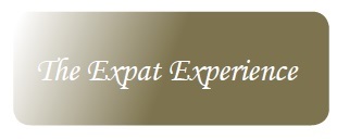 Click to visit The Expat Experience website